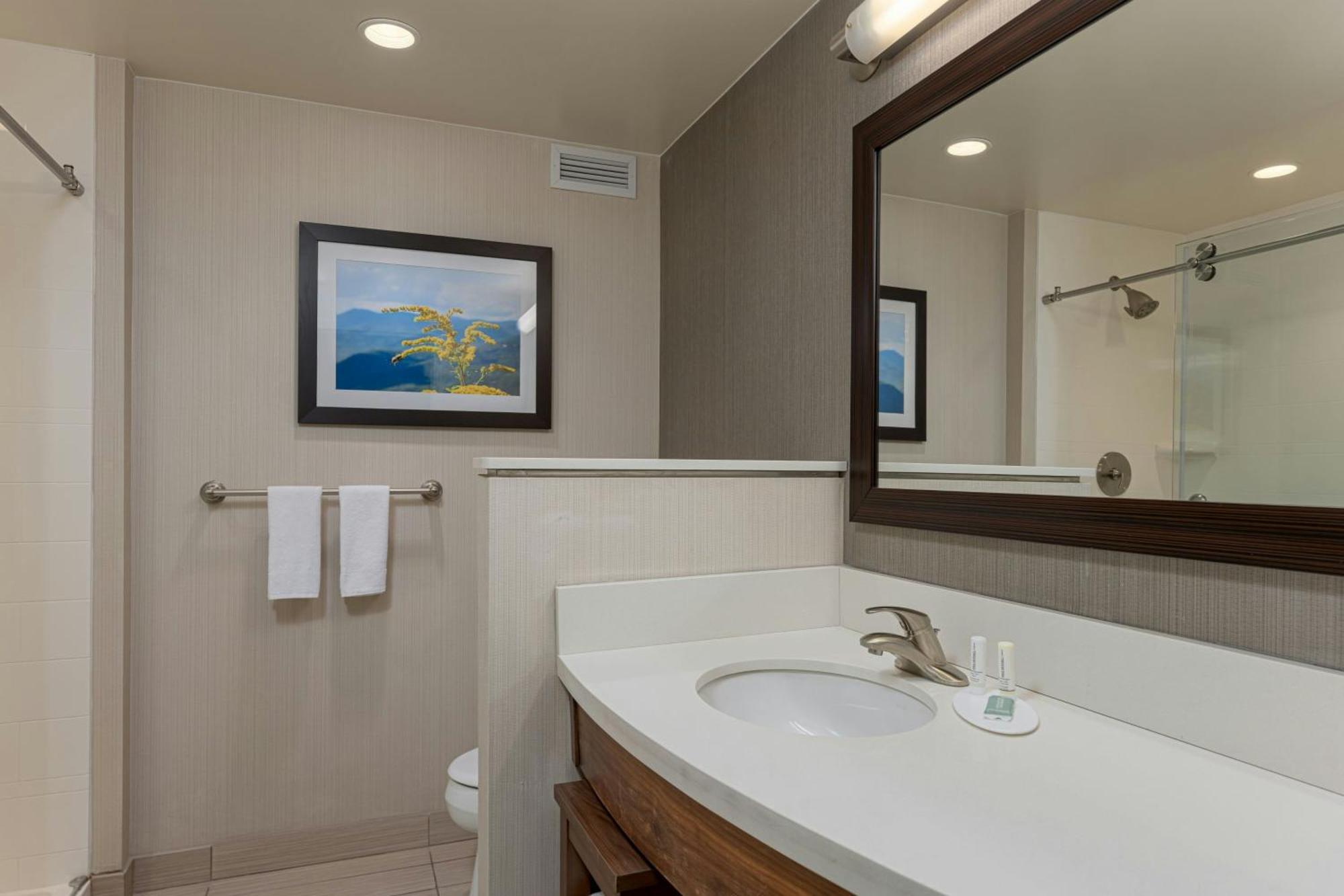 Courtyard By Marriott Asheville Airport Fletcher Exterior foto